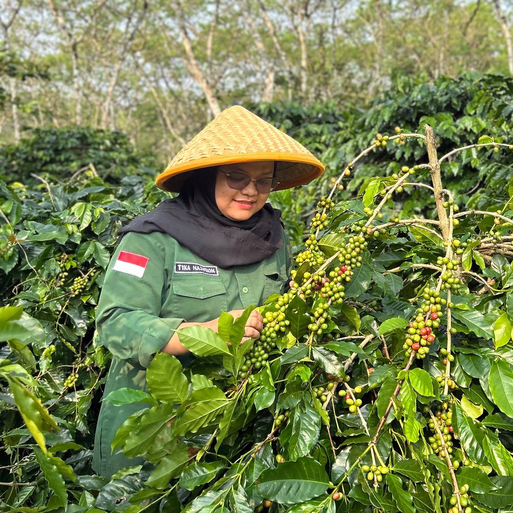 Bu Tika, Indonesia