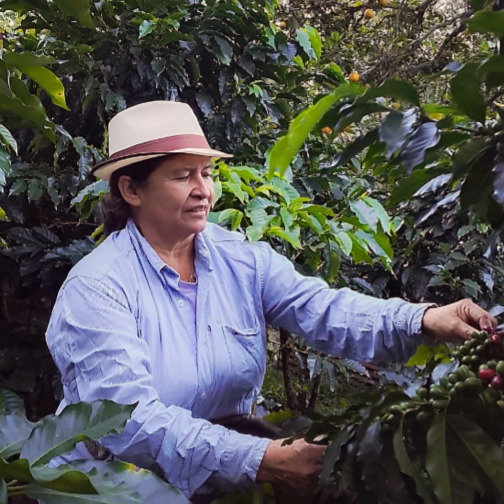 Verónica Perdomo, Colombia
